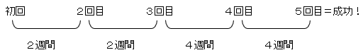 スケジュール